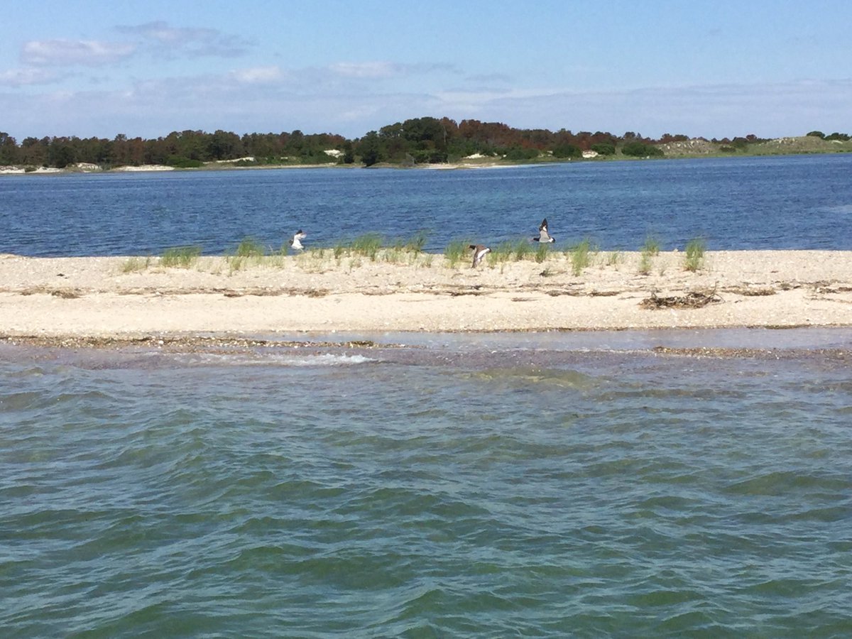 CapeCodEcotours's tweet photo. Looking for that last minute Christmas gift?  Hard to go wrong with a gift certificate for a #Barnstable Harbor Ecotour or #Sunset cruise available on our web site or by calling Captain Joe.  Merry Christmas and Happy Holidays to all!  Come on Spring! https://t.co/y1ICMiCJo2