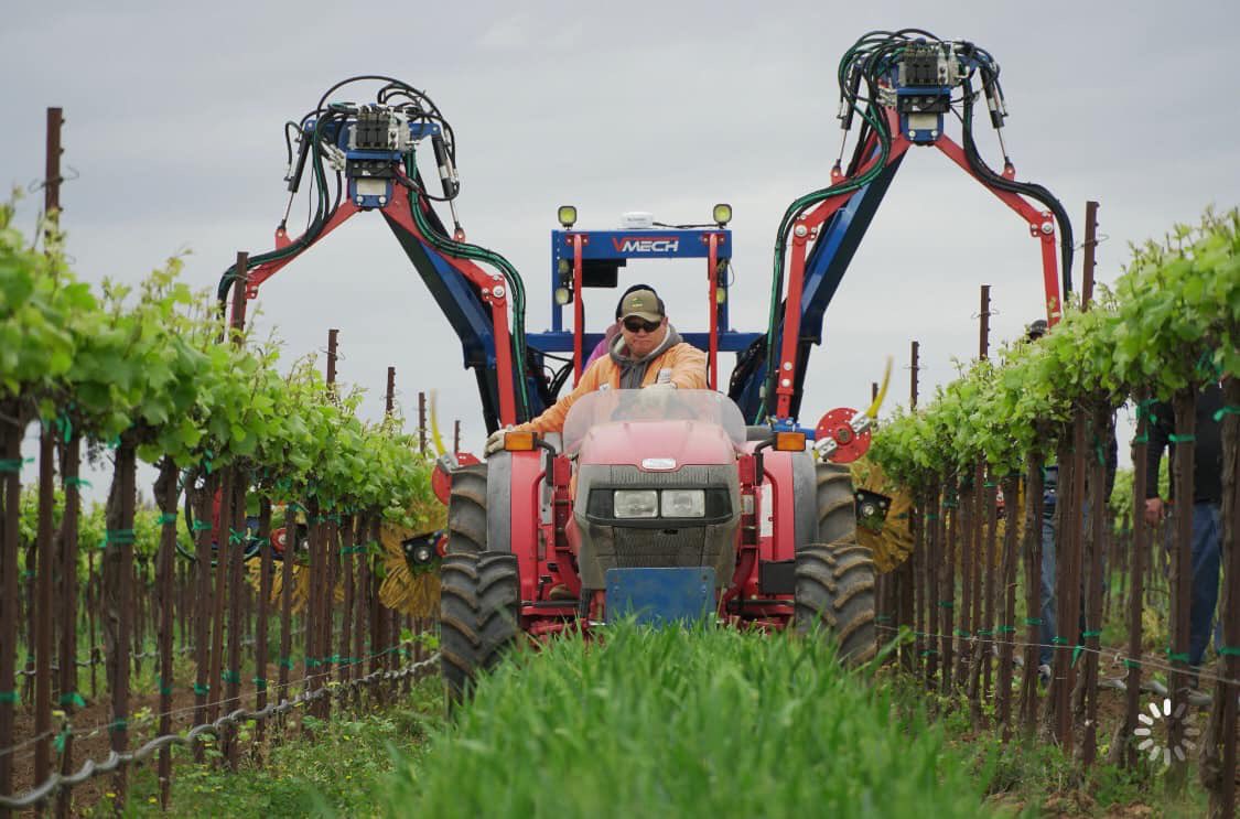 ucanr's tweet image. “With farming labor becoming more scarce and expensive, 🍇growers will opt to transition into more mechanization,” @ZhuangGeorge said. 
New @aic_ucanr cost studies for mechanized #winegrape production by @kurtural @grapetweets @torreslon @KTLund60 &amp;amp; Zhuang
bit.ly/34F2f1f