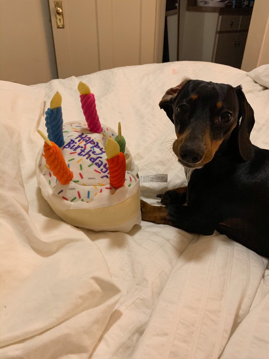 MaryRFoster's tweet photo. @MarthaKelly3 My dog, Francine turned 2 and her birthday wish was to let you know that ruff days are eventually followed by better day. hope this brightens your day :) https://t.co/xLn5gUBgYG
