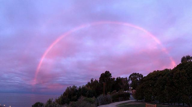 CebadaWine's tweet photo. Taken this morning on the bluffs at Bacara by our tasting room manager's husband. Thought we should share this sunrise bow (there was no rain).
#cebadawine  #santabarbara #lovetheocean #bacaraclub https://t.co/izo4wkF2qt https://t.co/hqEUCe4l0e
