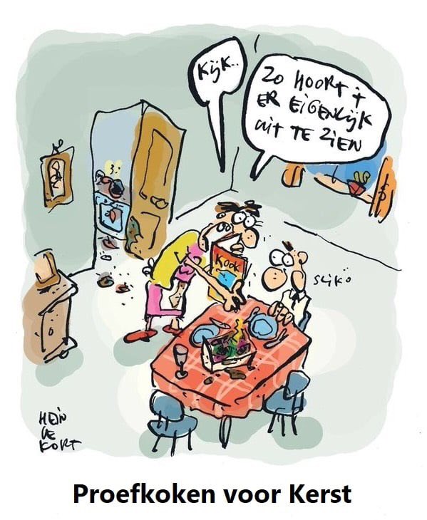 Hein on Twitter: "#heindekort #kortoons #humor #kerst #kerstdiner #proefkoken… "