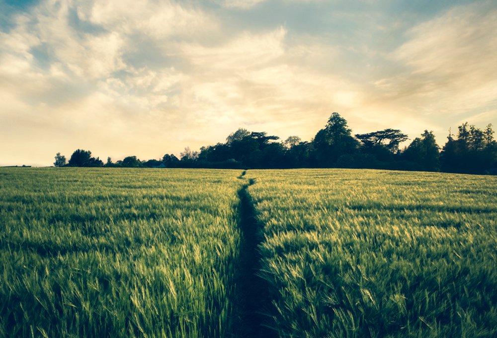 📣 This is your week's notification to take a break! With exactly one week until Christmas, you're probably due a little you-time. Take 5 minutes to stop what you're doing, unwind and read our blog by Emily on the importance of hitting pause ⏸️ marksma.de/388j5YW