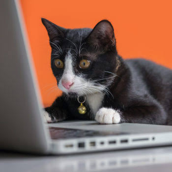 NZScienceLearn's tweet photo. So is there a word for when you see an interesting tweet and then Twitter auto-refreshes and the tweet speeds off into the ether never to be found?
This happens to me ALL. THE. TIME.
#TwitterAutoRefresh #IWasReadingThat https://t.co/Axp5pIzeZ5
