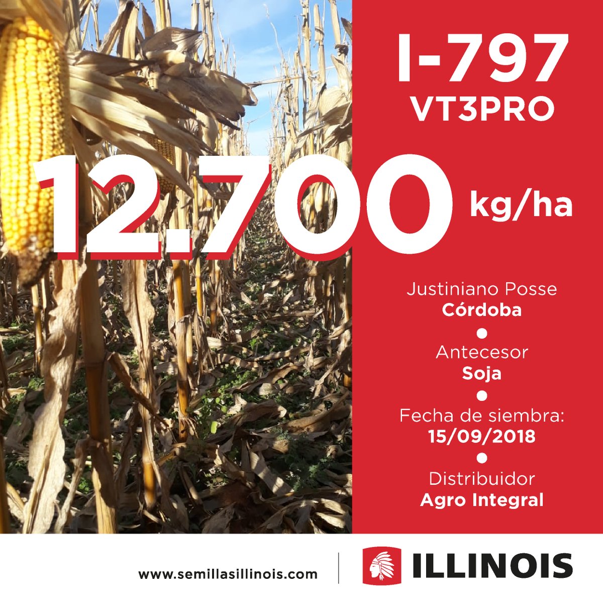 Sem_Illinois's tweet photo. #MiércolesdeRendimientos en #Maíz
📍 Justiniano Pose, Córdoba
🌽 Mirá el rinde de este #I797 VT3PRO 🌽
#Campaña19 😉 #Maíz
Ficha completa: https://t.co/P5KabWFFFj https://t.co/Ujx6kXG2tI