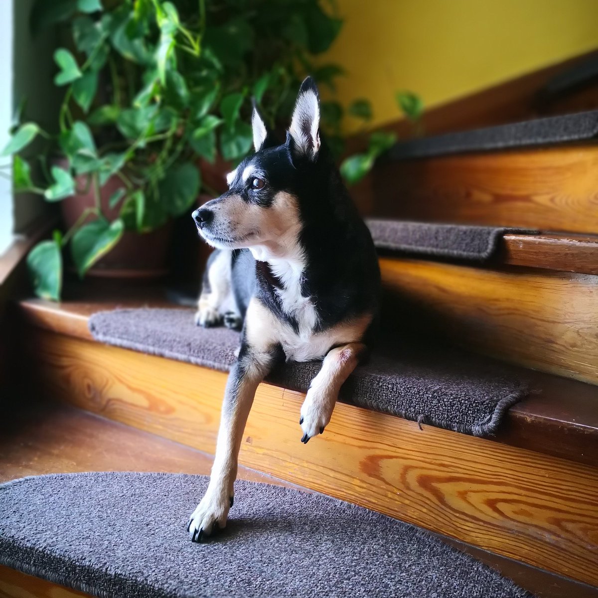 Vollkornpasta tweet media