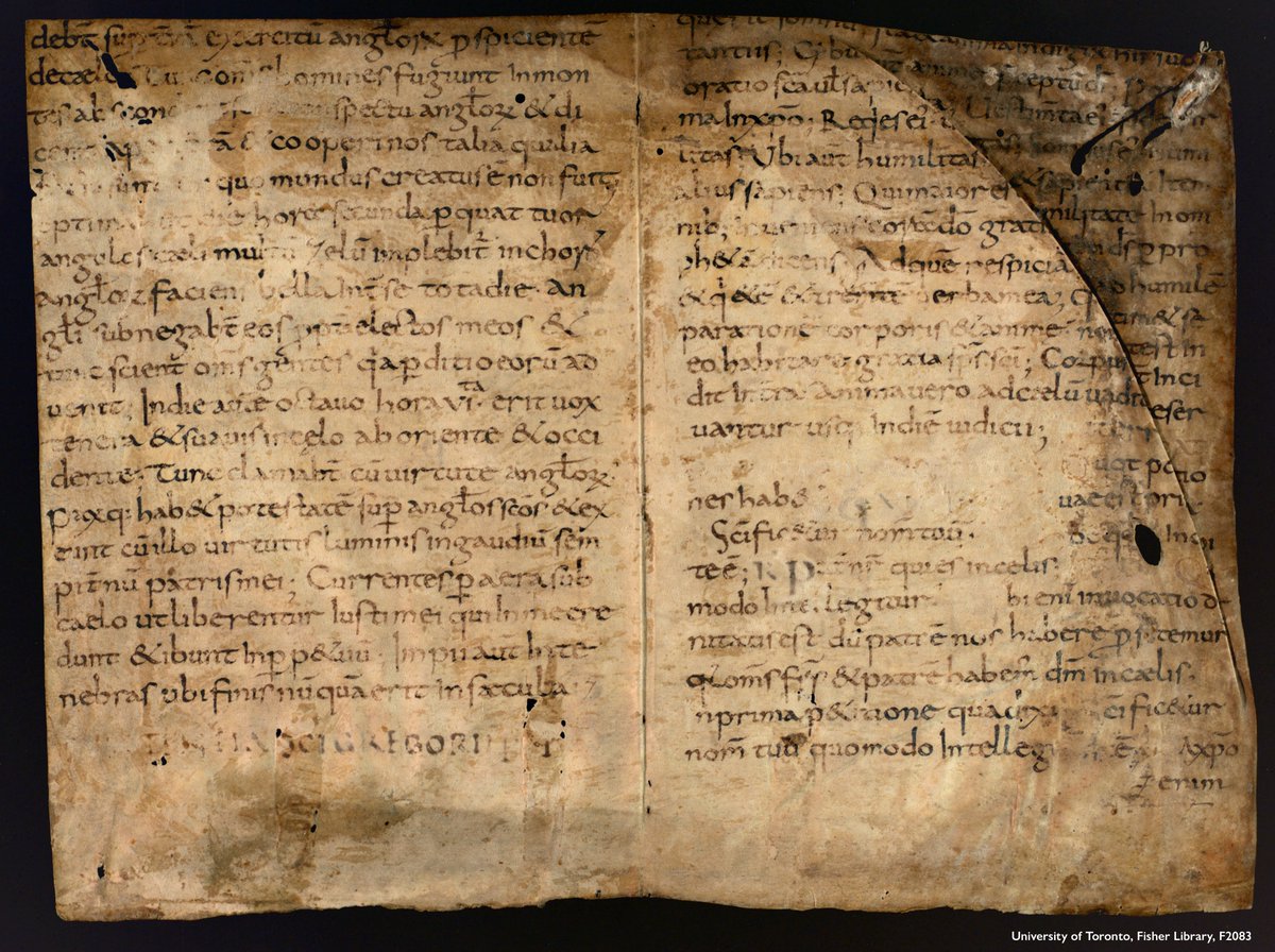 Photo of a fragment of a medieval manuscript consisting of a single bifolium (= a leaf folded in half) with each half bearing roughly 20 lines of script. Though written in a neat, even hand, the text is difficult to read due to flaking ink, holes, discolouration, & other damage. The bifolium has been trimmed down, likely to use it in bookbinding, so text is missing. Shelfmark: U. Toronto, Fisher Library, F2083.