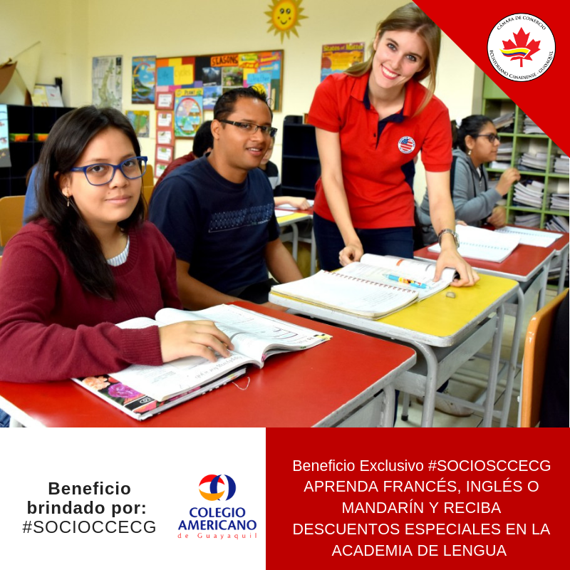 CamaraCanadiens's tweet photo. Beneficio exclusivo para Nuestros #SOCIOSCCECG, precios preferenciales en estudios de Idiomas como: inglés, Francés y Mandarín de la Academia de Lenguas del Colegio Americano. Contacto: socios@ecuacangye.com - 04 - 2631199 // 2630828 https://t.co/slCTdhPfHT