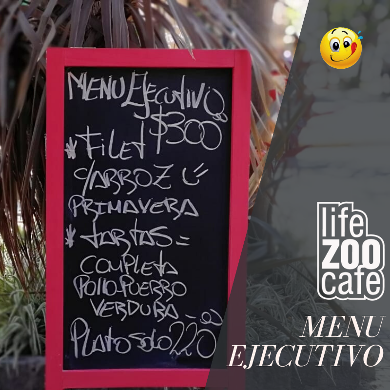 Lifezoocafe tweet media