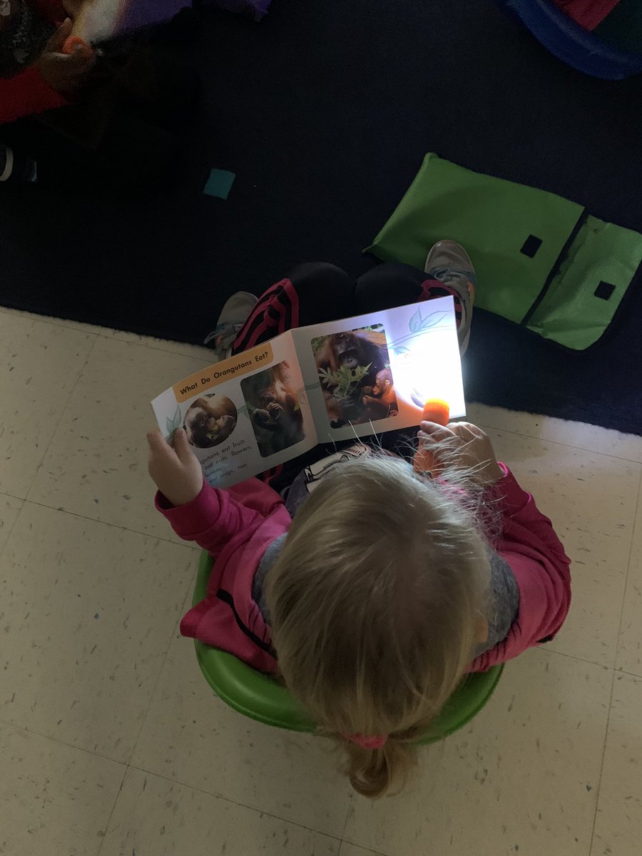 ms_witte tweet picture