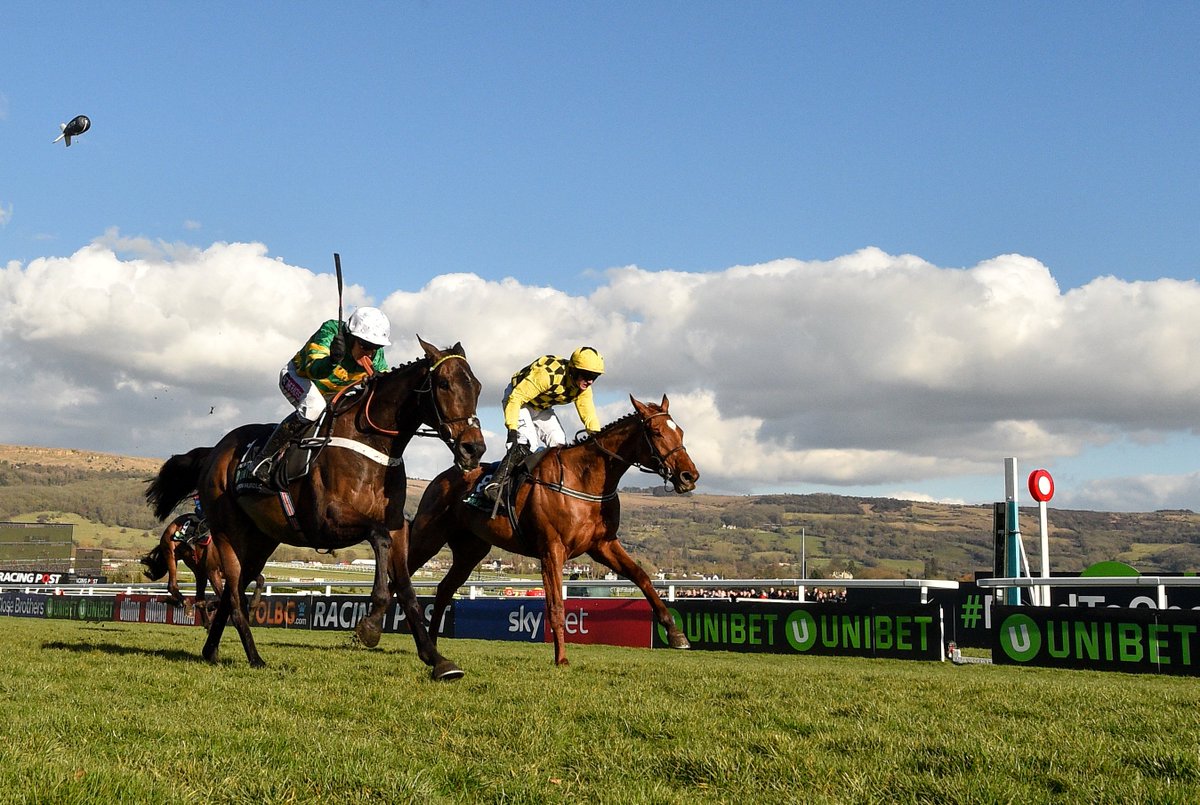 UnibetRacing tweet picture