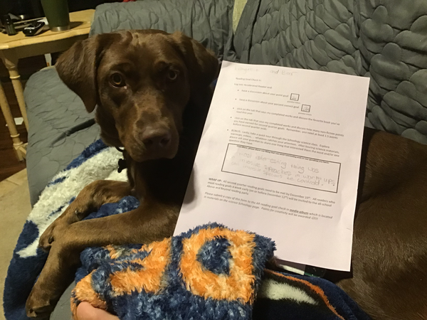 andyk847's tweet photo. Creative student communication: Students take their guardians on a digital tour by sharing goals and digital bookshelves, library resources, and course materials.  Then students submit a creative photo to our digital community media album.
#GreatTwitterTechChallenge https://t.co/MWCwdqHrwK