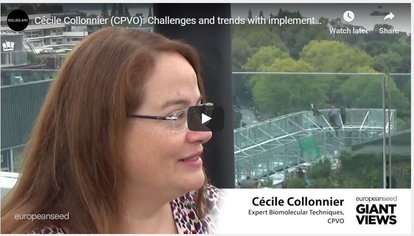 CPVOTweets's tweet photo. In this video interview for @EuropeanSeed, #CPVO technical expert Cécile Collonnier speaks about the challenges &amp; trends when it comes to implementing #molecular tools in #plant variety testing https://t.co/UTEOfE9ppc #IMMODUS https://t.co/mvDWjpI8cn