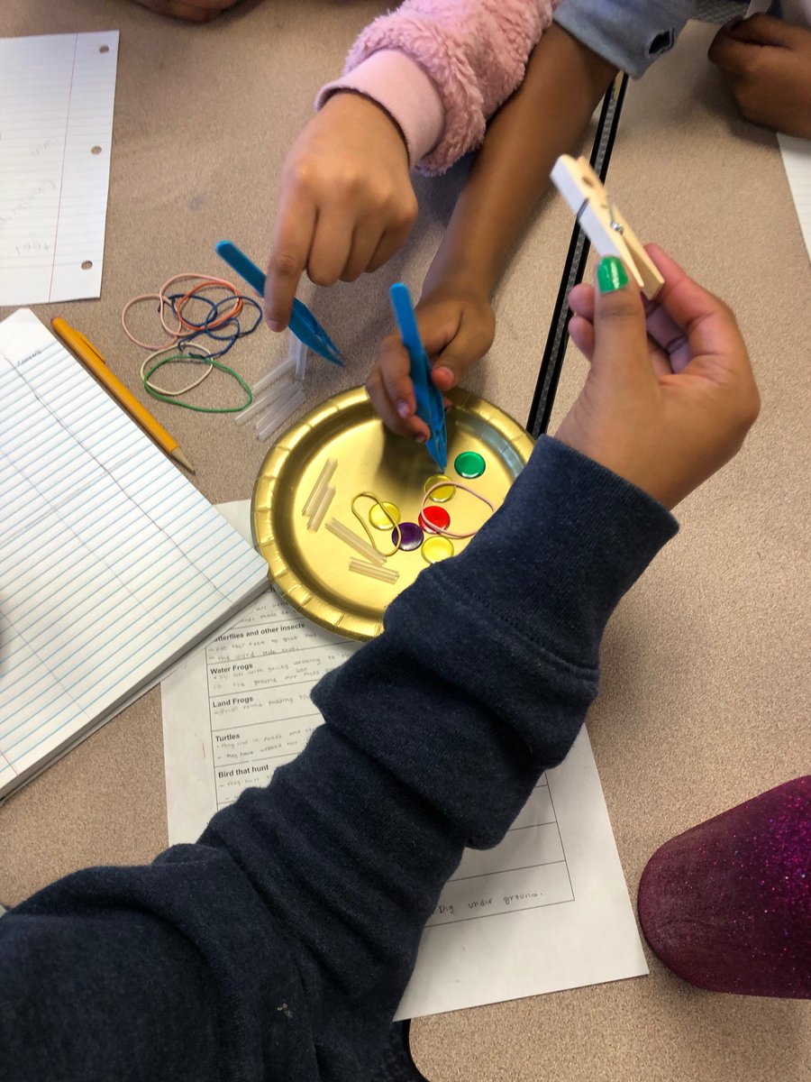 a_wise_teacher's tweet photo. It’s a “Bird Beak Buffet” type of day! We are exploring how different types of beaks function, so birds can meet their nutritional needs. @WCPSSElemScie @CarverESCubs #usingmodels #constructingexplanations #structureandfunction https://t.co/Oamnf6LuBV