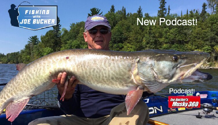 BucherJoe's tweet photo. Check out the new podcast on the FREE app Musky 360! The story behind one of my biggest muskies — Double Dorsal! Caught on a Mag ShallowRaider, 80# Beast Braid, St. Croix Legend Elite Musky 86HF. #joebucheroutdoors #stcroixrods #reconboats #evinrude #musky360 #biggamefishing https://t.co/YA2EZqp079