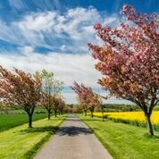 Thinking about a spring break?
You’ll love spring in the #yorkshirewolds It’s the  time when nature comes to life in a burst of colour and the rolling hills are lush green again. #shortbreak #Spring #outdoorfun
#visit #Enjoy #nature #hills
Take a look: bit.ly/2OfNuJV