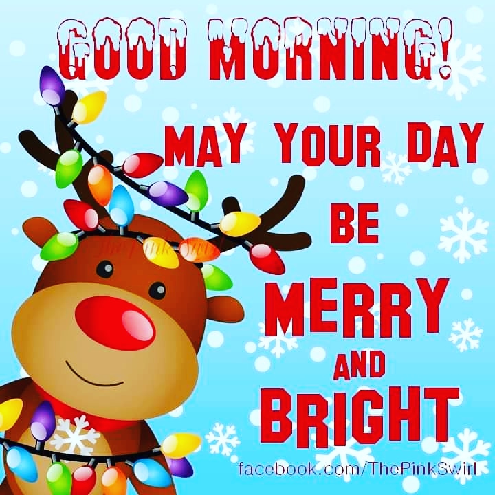 AbleWithNicole's tweet photo. Happy Wednesday!
🎄
#AblewithNicole #Iamable #goodmorning #christmas #happyhumpday #inspiration #holidays https://t.co/9OgL1W5czU
