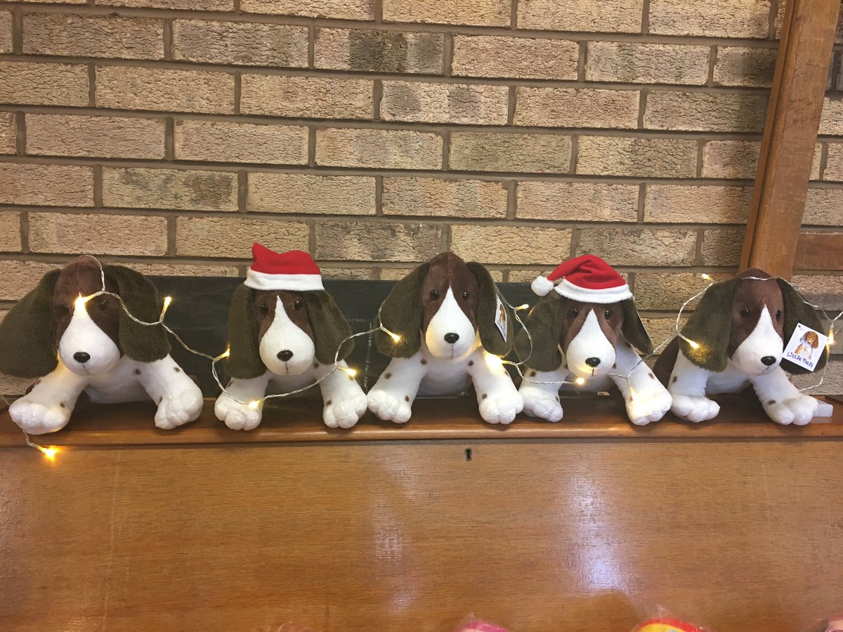 nellsadventures's tweet photo. Remember, ‘Little Nell’ isn’t just for Christmas! 😍😜🐶🐾#adventuresoflittlenell #littlenellschristmas #cuddlytoys #cuddlydogs #christmasfun #christmaspup #springerspaniel #cute https://t.co/yGwDUs3DDp