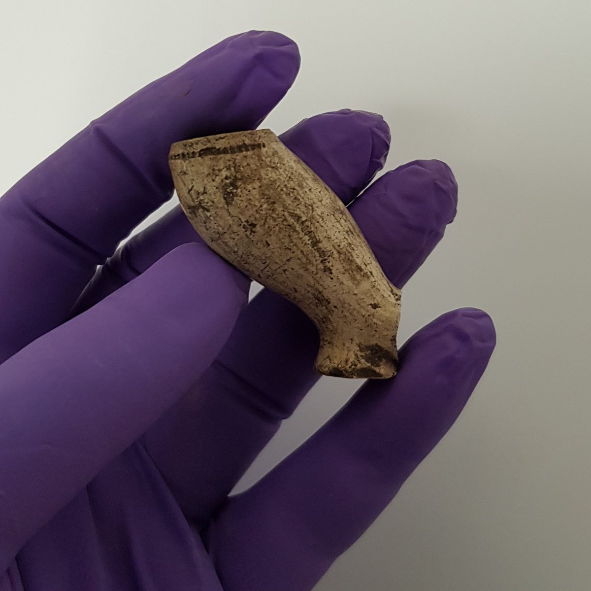 DrTashaFerguson's tweet photo. Delighted to say my application for professional #accreditation to @InstituteArch for #MCIfA grade has been successful 😁 Thanks to @GUARD_Archaeol for continuing support! @CIfA_Scottish #postexcavation #archaeology #artefacts https://t.co/FPQ6JRUZzj
