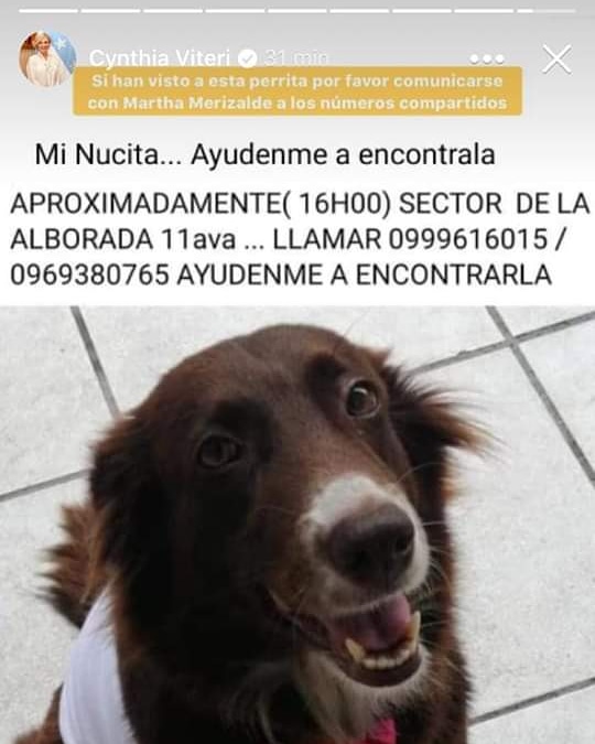 galomiguel's tweet photo. @flacaguerrerog Seguimos en la búsqueda de nuestra #Nucita #TesigobuscandoNucita https://t.co/0LRgJ8itYY