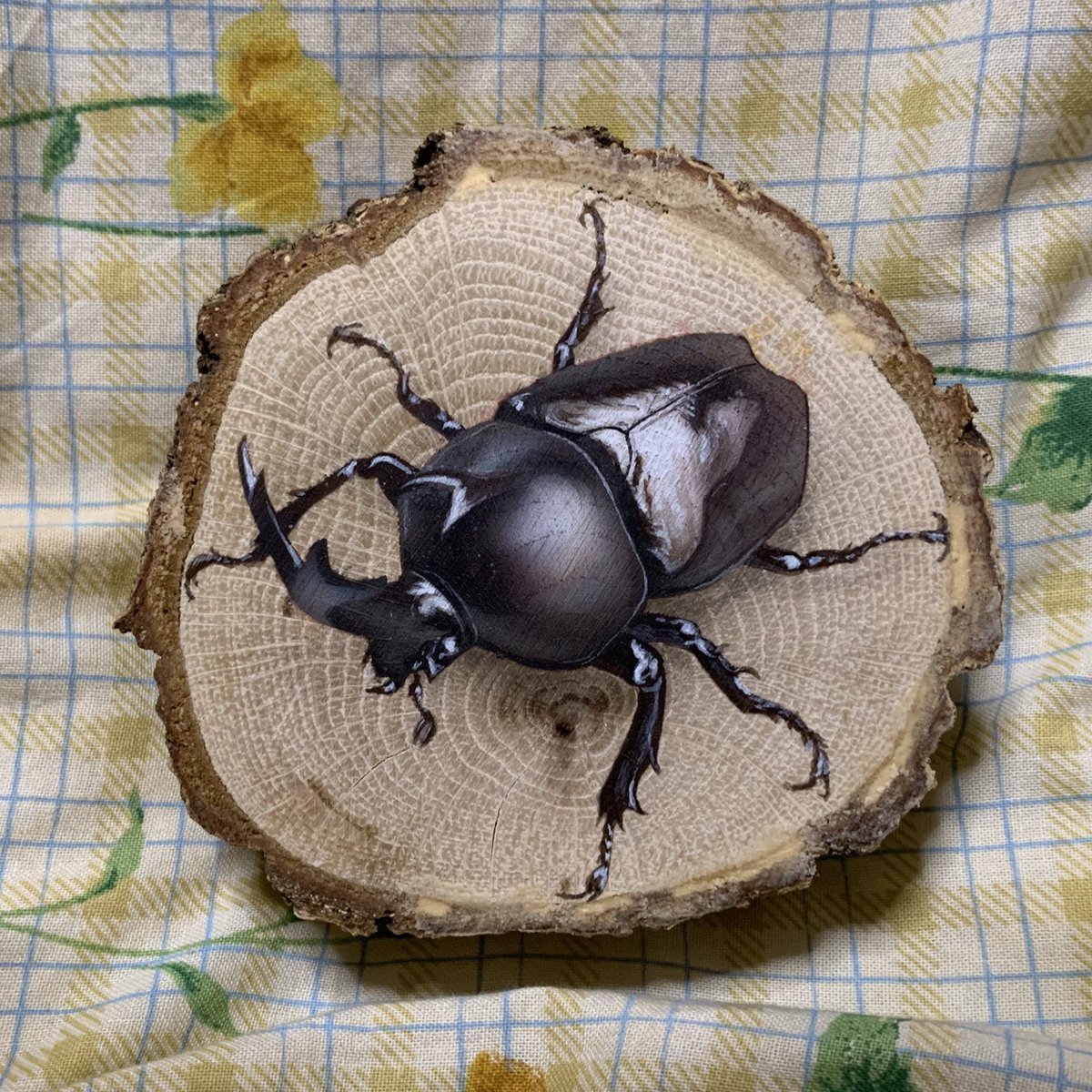純夜 Junya 12 25 31 真夜中すぎの展覧会9 冬でもカブトムシ W ﾉﾞ シンクリ2 のライブペイントで描いたもの 真夜中すぎの展覧会2 に展示予定 輪切り絵アート エアブラシ エアテックス アクリル絵の具 リキテックス アクリラガッシュ