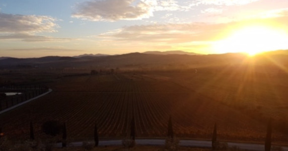 Another beautiful day in Tuscany coming to an end... #contidisanbonifacio #winterintuscany #sunset #goldenhour #vineyardview