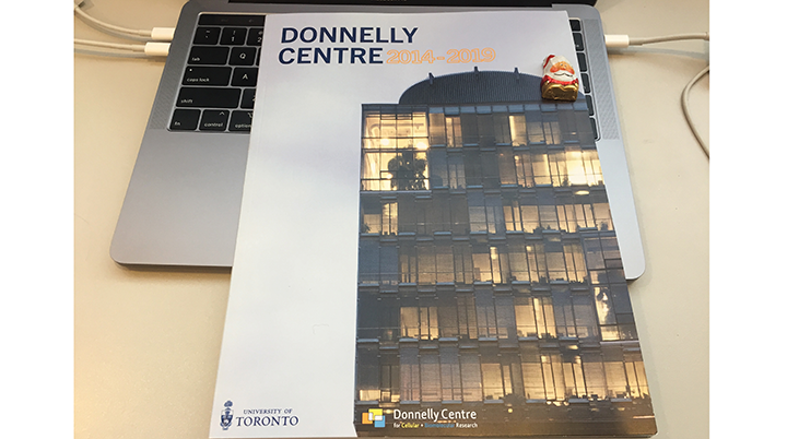 Our magazine is now live online!

Hope you enjoy reading these stories about some of our biggest discoveries over the past 5 years! 🧪🧫🔬

bit.ly/DonnellyMagazi…

#genetics #cancerresearch #brainresearch #autism #stemcells #regenerativemedicine