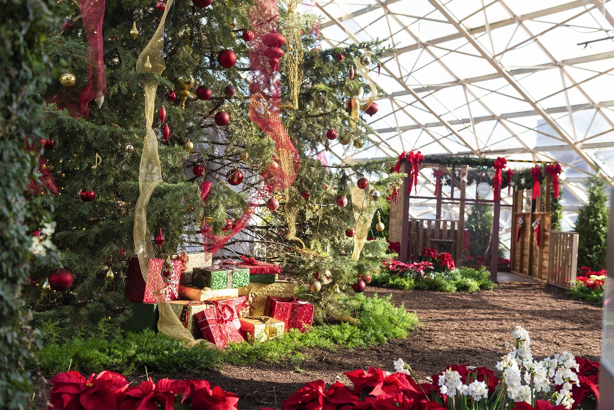 Looking for the perfect spot to take your holiday photos? 📸🎄 The Christmas Connections exhibit at @FFBotCons is festive and cozy! Check it out: bit.ly/2PXEQ5x