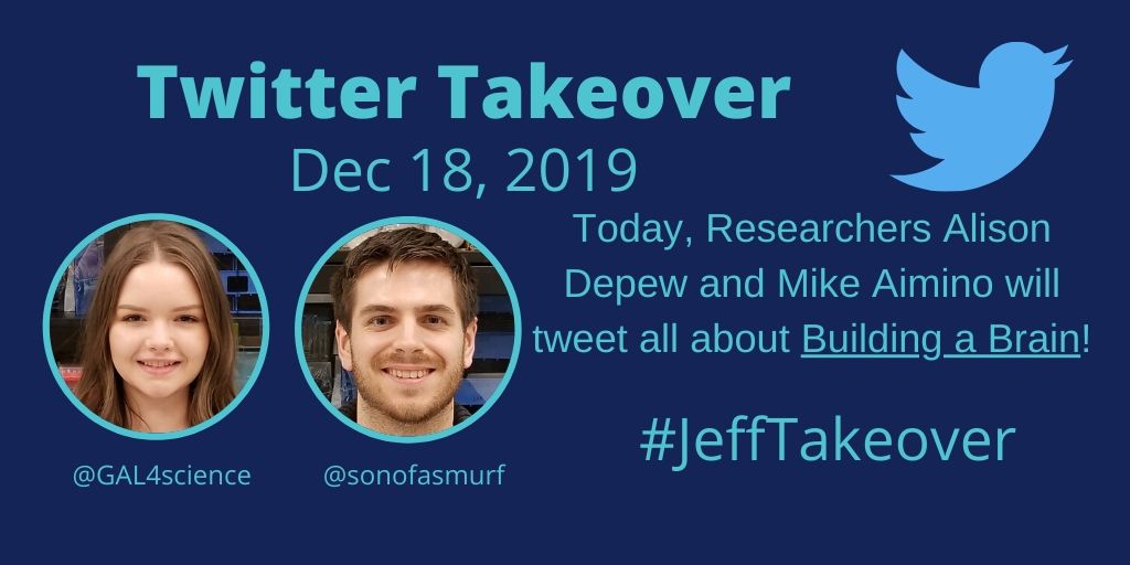 Jefferson Research (@researchatjeff) on Twitter photo It’s the <a href="/MoscaLab/">The Mosca Lab</a> Twitter Takeover! Follow along as PhD students Alison (<a href="/GAL4science/">Alison DePew, PhD</a>) and Mike (@sonofasmurf) talk about today’s topic: Building a Brain! #JeffTakeover It’s the <a href="/MoscaLab/">The Mosca Lab</a> Twitter Takeover! Follow along as PhD students Alison (<a href="/GAL4science/">Alison DePew, PhD</a>) and Mike (@sonofasmurf) talk about today’s topic: Building a Brain! #JeffTakeover