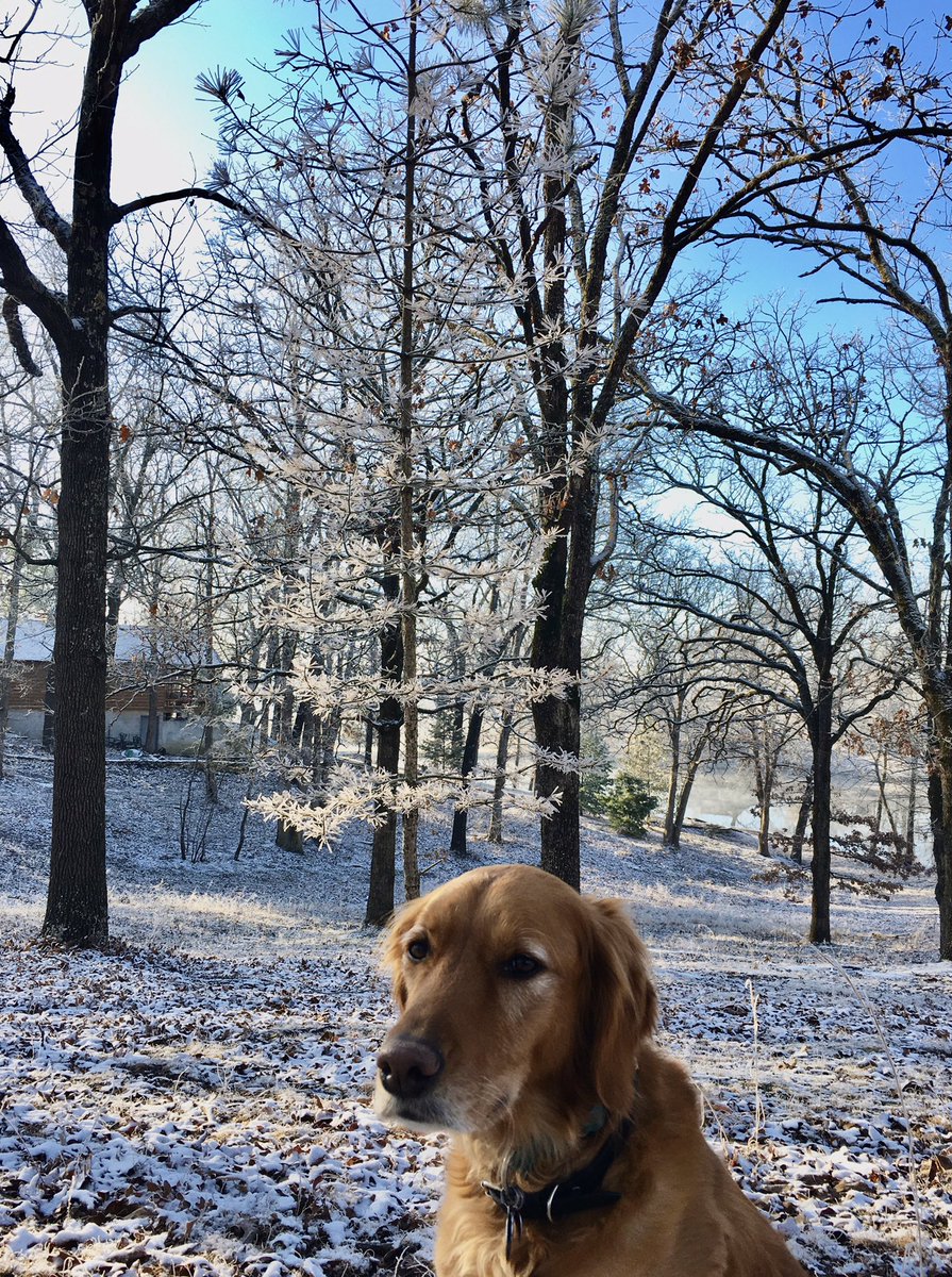 S H (@shaybert) on Twitter photo 