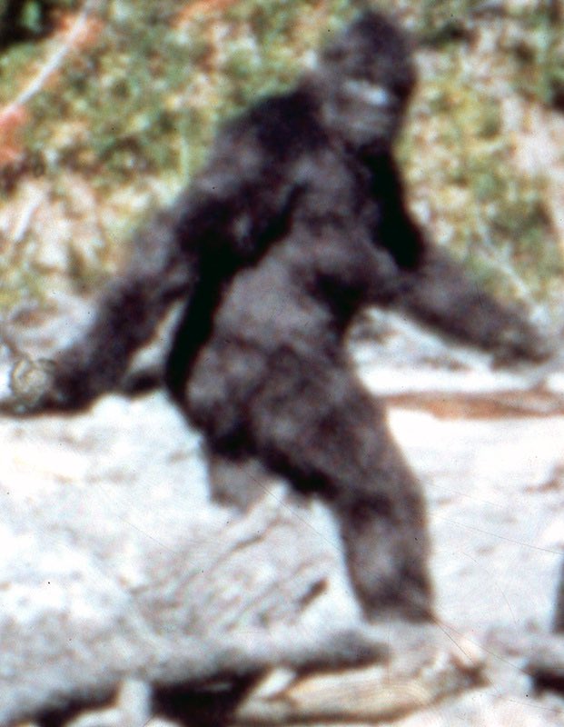 HatchandB's tweet photo. Always get consent to film your local Sasquatch, or you’ll have to blur them out of the footage guys. https://t.co/5fGK3Yime1