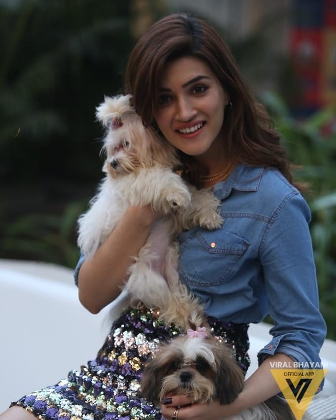 kritigreatsanon's tweet photo. ๐โค๏ธโค๏ธ๐ค
@KritiSanon at the @IAMS launch today! A new petcare brand that has tailored nutrition for different pets.
Doesn't Kriti look adorable with her new friends Butter and Jelly? #IAMSWhoIAm #UniqueBest #IAMS https://t.co/CQ7hPt6cHJ