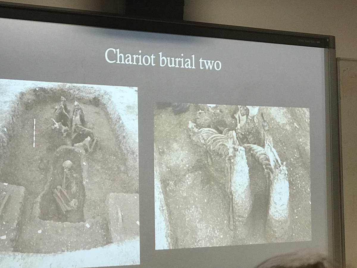 CaradocPeters's tweet photo. Matt Hitchcock - chariot burial complete with wheels and one upright with charioteer in cab with shield - horses headless - vibrant positions #tag2019ucl #tag28 https://t.co/NzlAbTueSU
