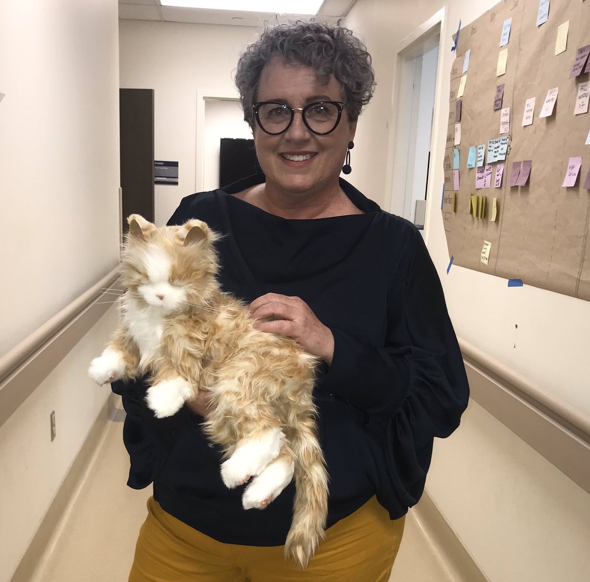 MshSafety's tweet photo. Todayโs #qualityhuddle was visited by our patient care manager who employs creative #fallsprevention ideas for patients with cognitive decline โค๏ธโ ๏ธ
Pictured here: Tabby, the animatronic cat who provides comfort and entertainment! #patientexperience https://t.co/733JjjOqEx
