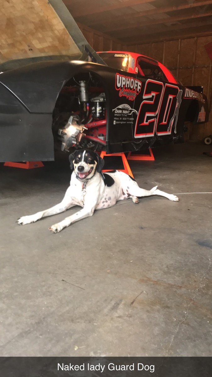 Clay is always in the shop, protecting the valuables!  Making sure nobody gets too close to the secrets.  #SponsorMePFC20 #adoptdontshop #shopdog #pathfinderchassis