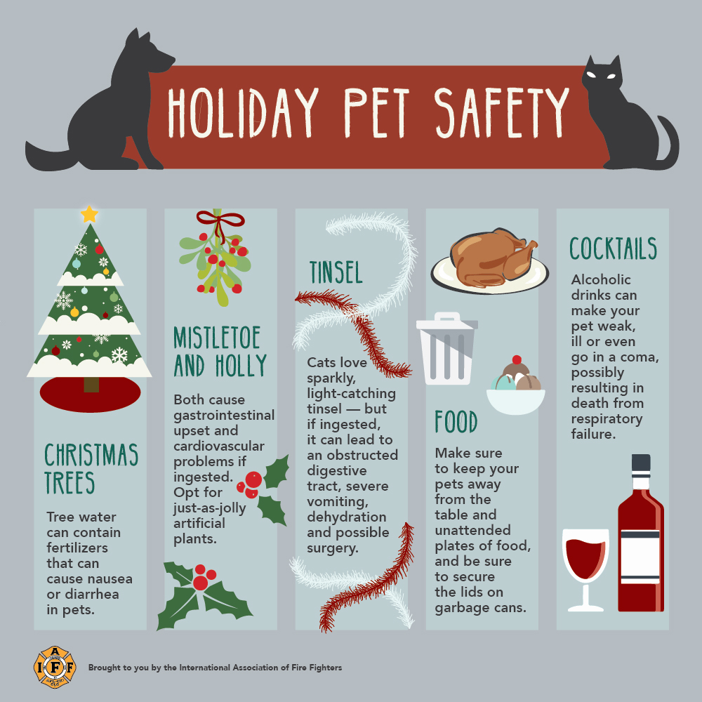 IPFF2's tweet photo. It's not just you that #YourIPFF wants to keep safe, we want to ensure that your pets have a safe holiday season too! #Iowa #IAFFSafetyTips https://t.co/cuYFsKT8CZ