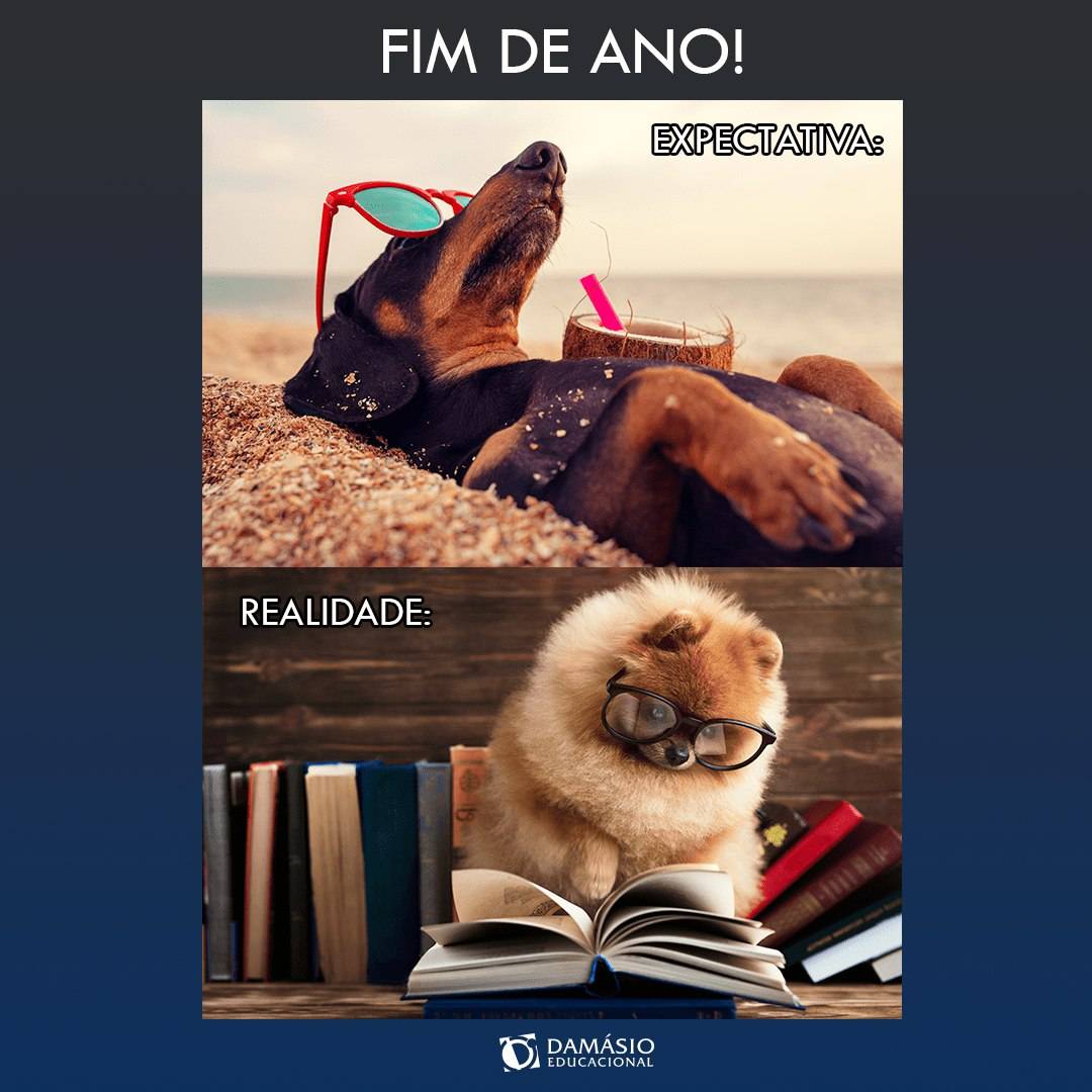 damasiofor's tweet photo. Fim de ano chegando e continuamos estudando! 📚🤓 https://t.co/WgrwgeACeo