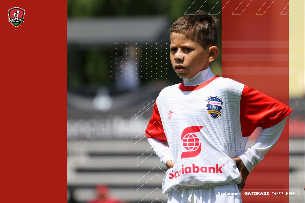 SectorAmateur's tweet photo. ☀️ | #FraseSAm | Feliz Navidad 🎅🙌✨

“Honraré la Navidad en mi corazón y trataré de mantenerlo todo el año.”

#DondeNaceLaPasión #FMFPorNuestroFútbol @ScotiabankMX @ScotiabankFC @gatorademex @epura https://t.co/5QwBjL5ffN