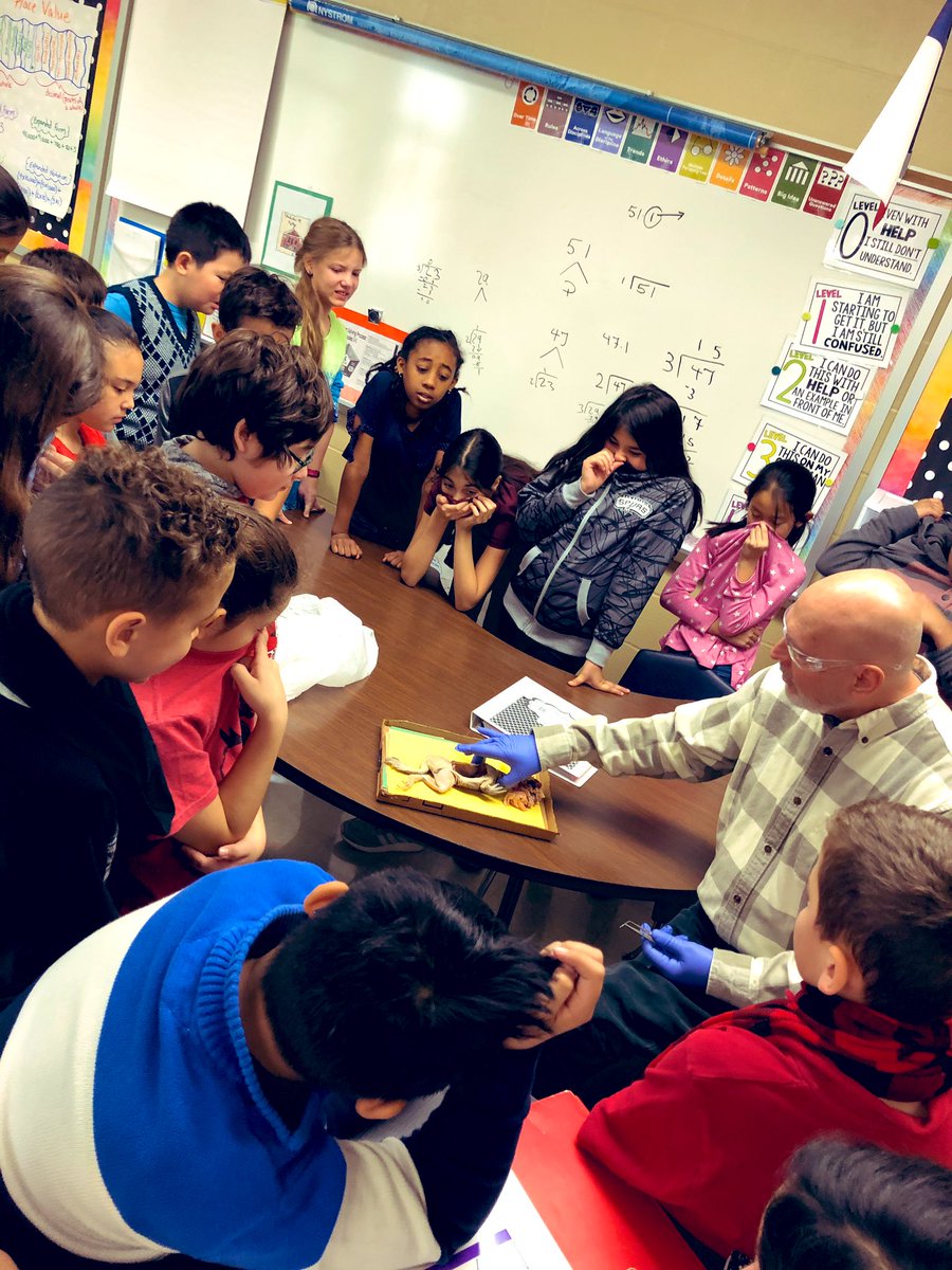StaggSavannah's tweet photo. Huge thank you to @TPOTCB for teaching my class about dissection! The kids may have held their noses, but they thought it was awesome! #CarnahanTribe @NISDCarnahan @NISDElemScience https://t.co/a6K7daqWyN