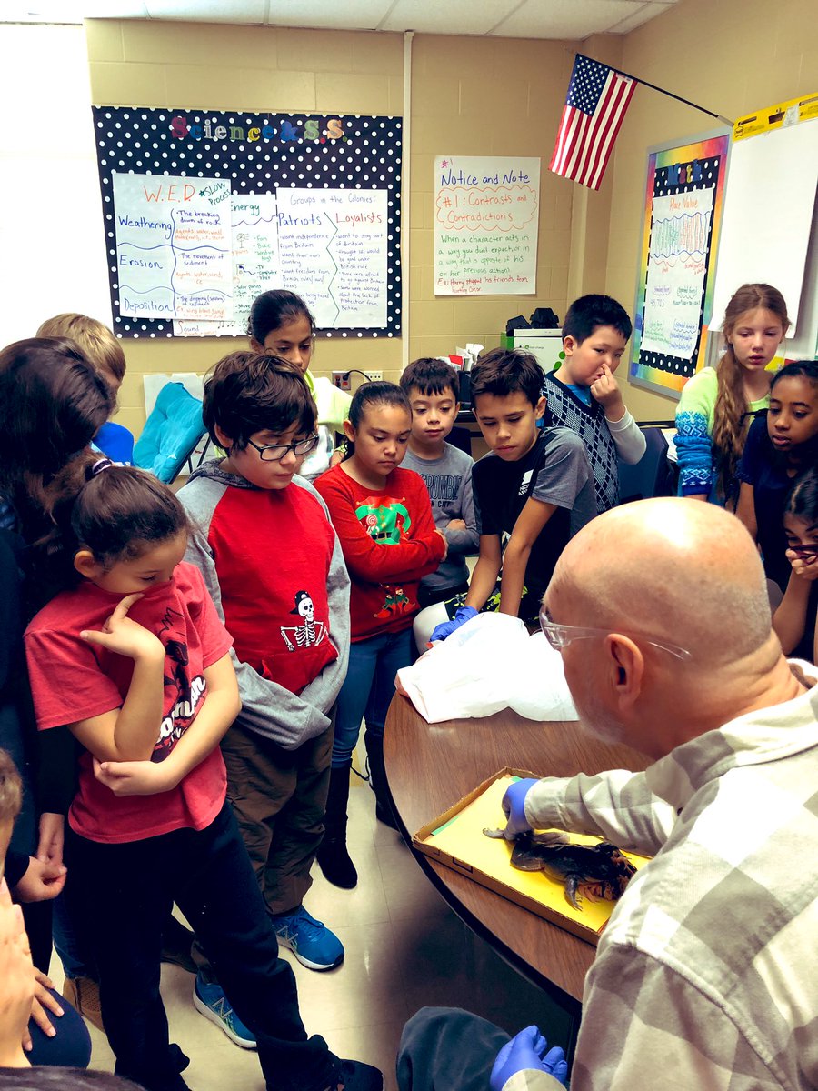 StaggSavannah's tweet photo. Huge thank you to @TPOTCB for teaching my class about dissection! The kids may have held their noses, but they thought it was awesome! #CarnahanTribe @NISDCarnahan @NISDElemScience https://t.co/a6K7daqWyN