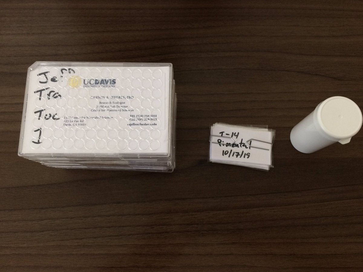 Carson Jeffres (@fishlips_caj) on Twitter photo I am not sure if I should be proud, sad, excited, or nervous that the last 5 months of work is now in 6 isotope trays, 8 envelopes and 8 vials getting ready to be sent to the US for analysis. Thanks <a href="/FulbrightPrgrm/">The Fulbright Program</a> <a href="/fulbrightbrasil/">Fulbright Brasil</a> <a href="/eyeballMir/">Miranda Tilcock</a> <a href="/UCDavisWater/">UC Davis Center for Watershed Sciences</a> ! I am not sure if I should be proud, sad, excited, or nervous that the last 5 months of work is now in 6 isotope trays, 8 envelopes and 8 vials getting ready to be sent to the US for analysis. Thanks <a href="/FulbrightPrgrm/">The Fulbright Program</a> <a href="/fulbrightbrasil/">Fulbright Brasil</a> <a href="/eyeballMir/">Miranda Tilcock</a> <a href="/UCDavisWater/">UC Davis Center for Watershed Sciences</a> !