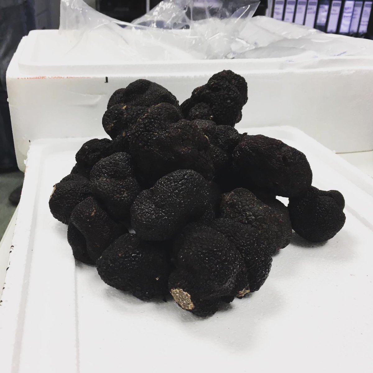 kaleanddamson's tweet photo. Kamal’s got his eyes on the best winter truffles around, fresh in today!
#wintertruffles #truffles #localproduce #produce #season #chefs #tasty #flavour https://t.co/1u18mAjlRm
