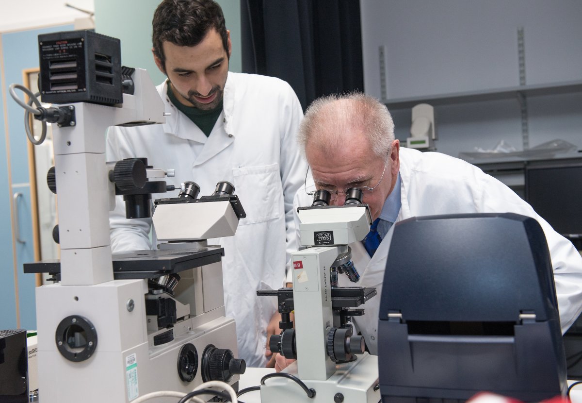 arthritisukorg's tweet photo. Do you have chronic pain? Weโve awarded a new scholarship with the @Masonic_Charity to find new ways to tackle chronic pain in patients living with rheumatoid arthritis, by reprogramming cells in the body that cause inflammation. Find out more: https://t.co/9GlseL07Yi #MCFgrant https://t.co/Tz9tFkyn4z