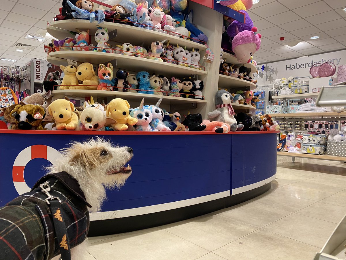 BeThatDog's tweet photo. Today @HowardsWayOut visited @Selbys_Holloway and he said it was amazing! Especially the toys and the life-sized Sven from Frozen which had him fooled for a second 😂💖 #Dogfriendly #LoveLondon https://t.co/vnt6F9YhwT