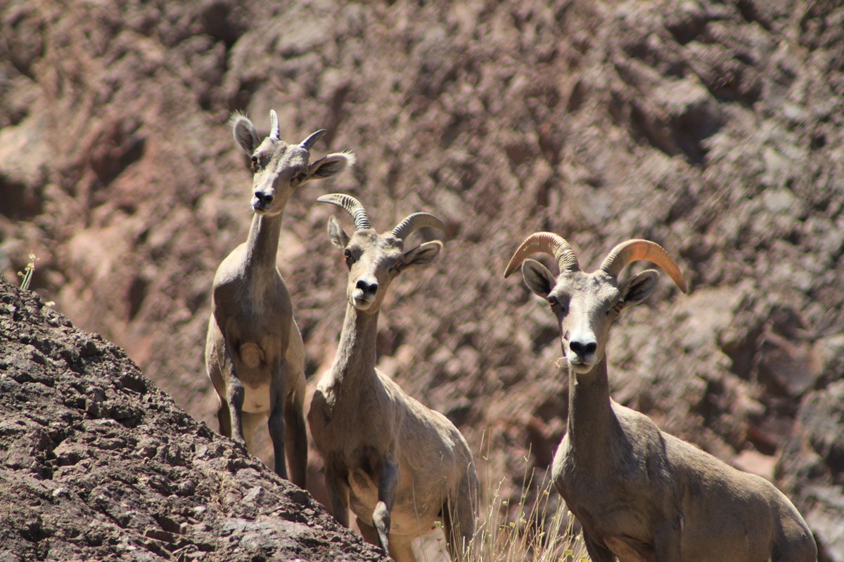 OMG! Christmas is one week away! 🎄