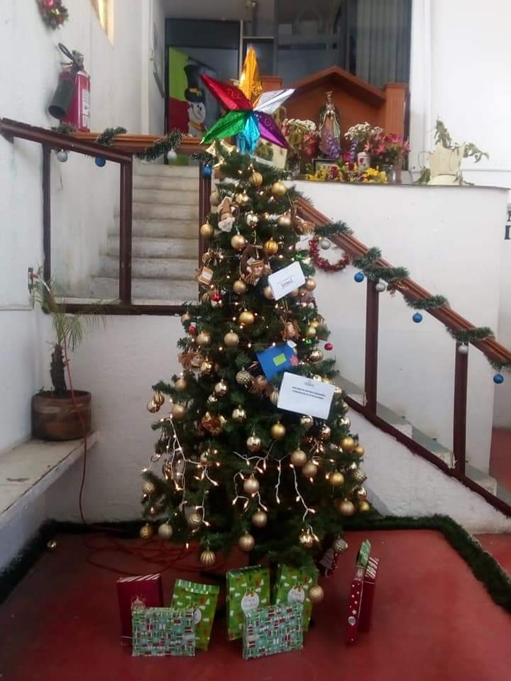 PROYECTOPJPAC tweet picture