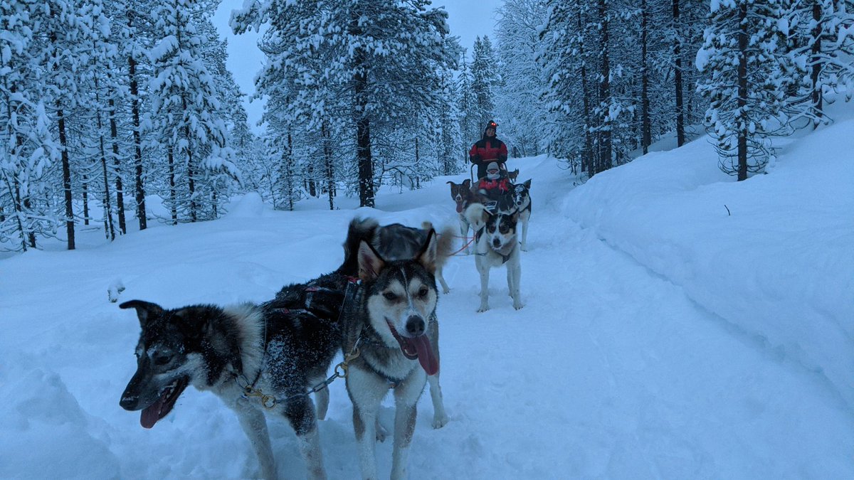 Elena Cormio tweet media