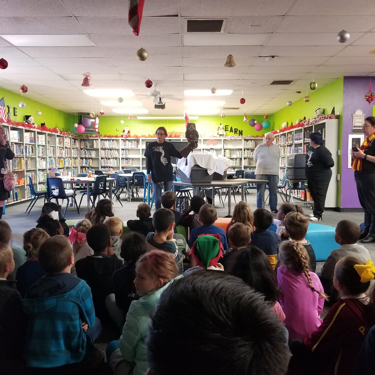 Wildbird Rescue Rescue #sheppardjets