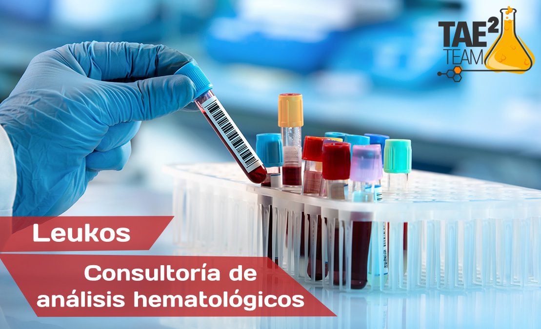 EquipTae2's tweet photo. Ayer iniciamos el Proyecto 2: Hemociona't! 
Con este nuevo proyecto tenemos el objetivo de elaborar una consultoría digital, para asesorar a las personas, para que puedan entender mejor los resultados de sus analíticas hematológicas.
#LAB1921 #LaNovaFP #JEClot https://t.co/kl1gH7DgCL