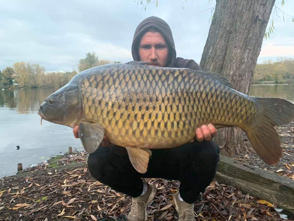 TaskaCarp's tweet photo. Team Taska man Darren Pearce has been grabbing some short sessions when he can.. and it's clearly paying off! 
Some great looking fish there Darren!
Taska Baseline products giving perfect presentation everytime.
#teamtaska #taskacarp https://t.co/g9Fevn1rdt