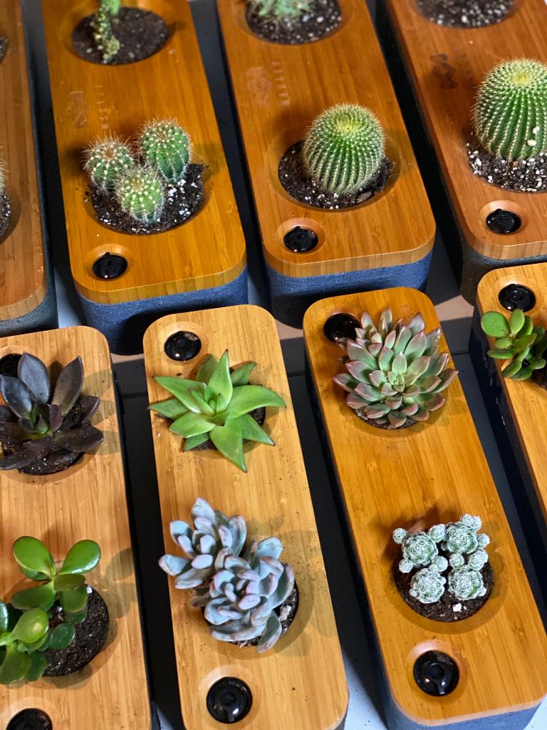 houseofmarley's tweet photo. Never let your speakers go to waste. 🌵♻️ Should we do a DIY tutorial? #GetTogether #GetTogetherMini #DIY #HouseofMarley https://t.co/XYkTagi9ZU